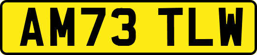 AM73TLW