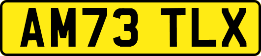 AM73TLX