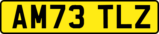 AM73TLZ