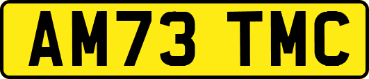 AM73TMC