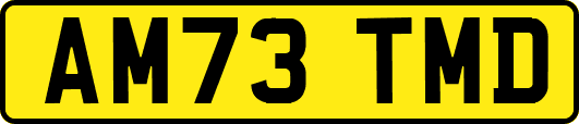 AM73TMD