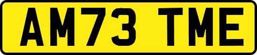AM73TME