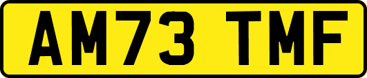 AM73TMF