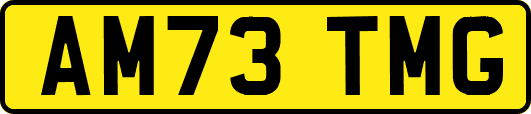AM73TMG