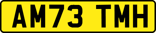 AM73TMH
