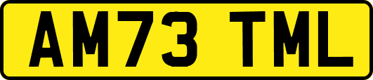 AM73TML
