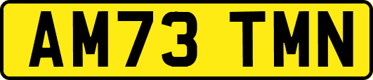 AM73TMN