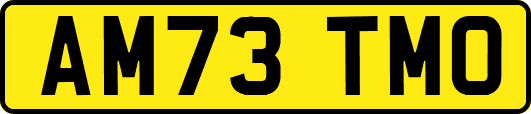 AM73TMO