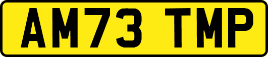 AM73TMP