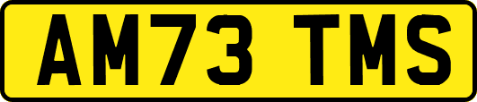 AM73TMS
