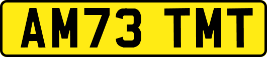 AM73TMT