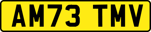 AM73TMV