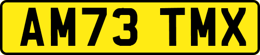AM73TMX