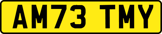 AM73TMY