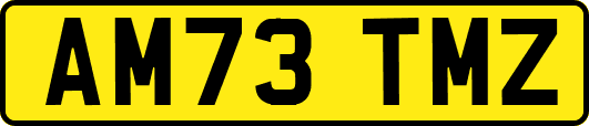 AM73TMZ