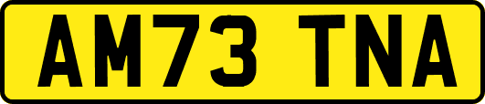 AM73TNA