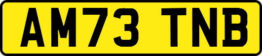 AM73TNB