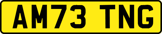 AM73TNG