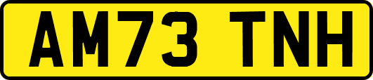 AM73TNH