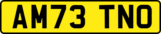 AM73TNO