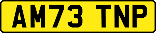 AM73TNP