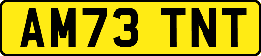 AM73TNT