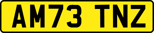 AM73TNZ