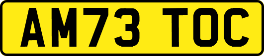 AM73TOC