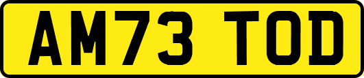 AM73TOD