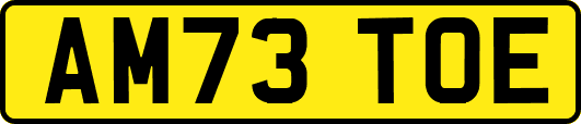 AM73TOE