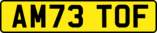 AM73TOF