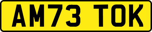 AM73TOK