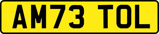 AM73TOL