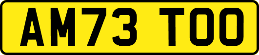 AM73TOO