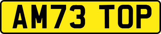 AM73TOP