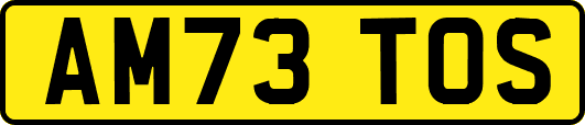 AM73TOS
