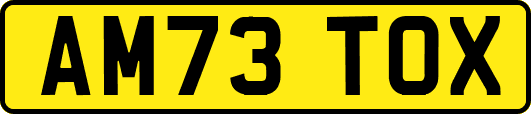 AM73TOX