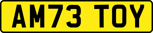 AM73TOY