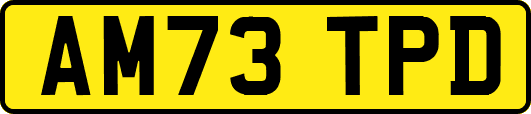 AM73TPD