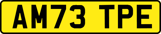 AM73TPE