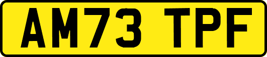 AM73TPF