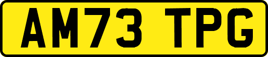 AM73TPG