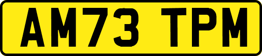 AM73TPM