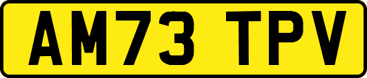 AM73TPV