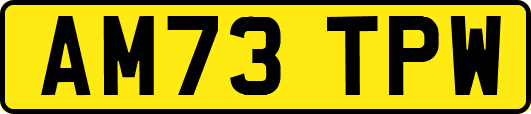 AM73TPW