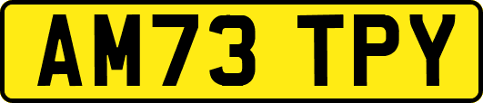 AM73TPY