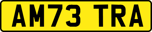 AM73TRA