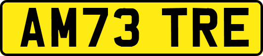 AM73TRE