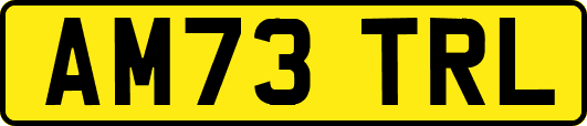 AM73TRL