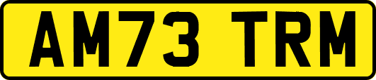 AM73TRM